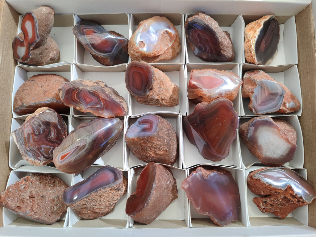 Polished On One Side Red Sashe River Agate Nodules x 20 From Zimbabwe - Toprock Gemstones and Minerals 