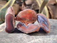 Polished On One Side Red Sashe River Agate Nodules x 20 From Zimbabwe