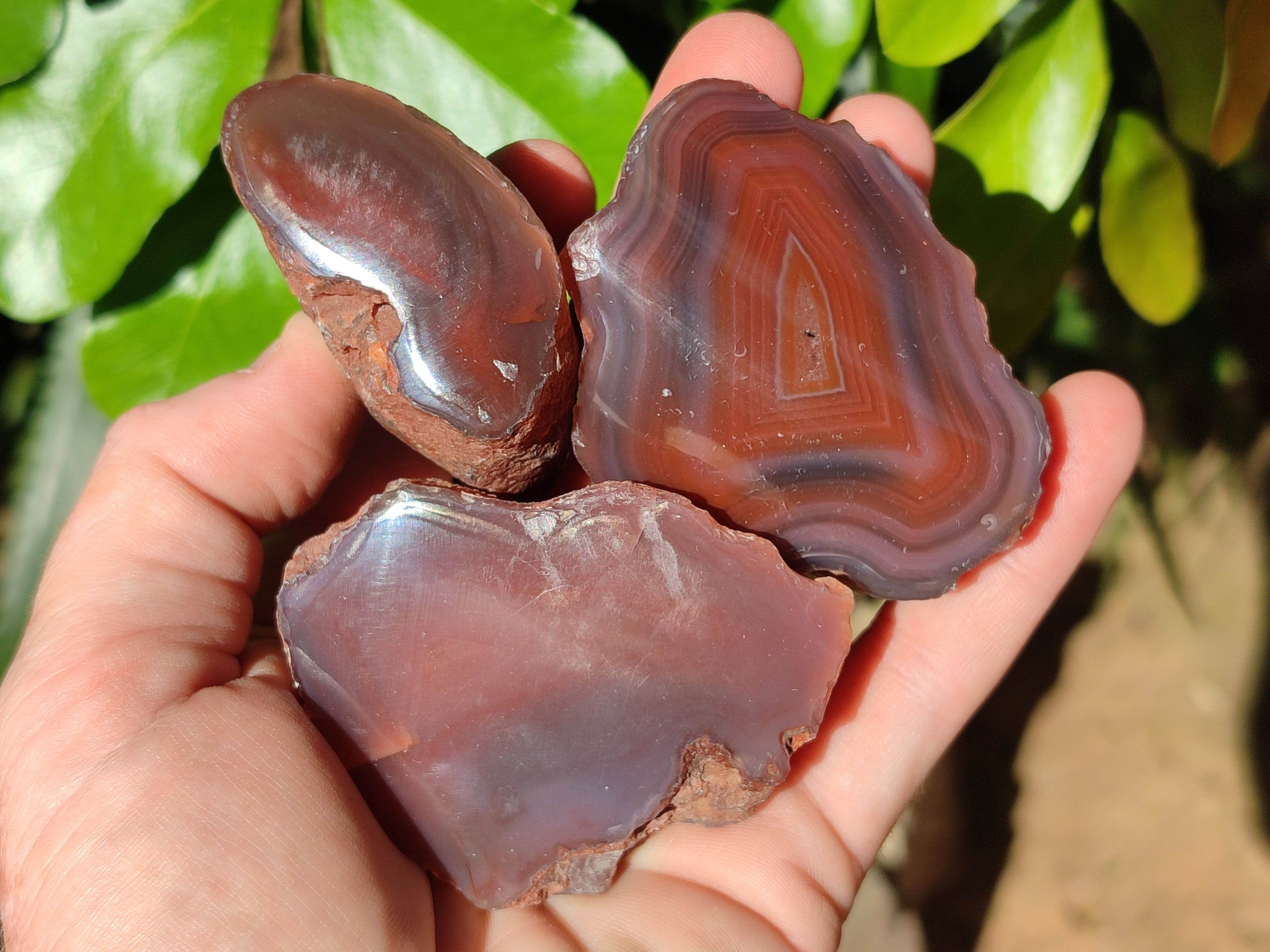 Polished On One Side Red Sashe River Agate Nodules x 20 From Zimbabwe - Toprock Gemstones and Minerals 