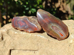Polished On One Side Red Sashe River Agate Nodules x 20 From Zimbabwe - Toprock Gemstones and Minerals 