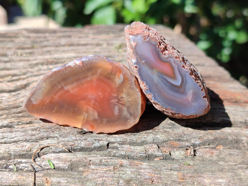 Polished On One Side Red Sashe River Agate Nodules x 20 From Zimbabwe - Toprock Gemstones and Minerals 