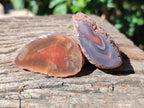 Polished On One Side Red Sashe River Agate Nodules x 20 From Zimbabwe - Toprock Gemstones and Minerals 