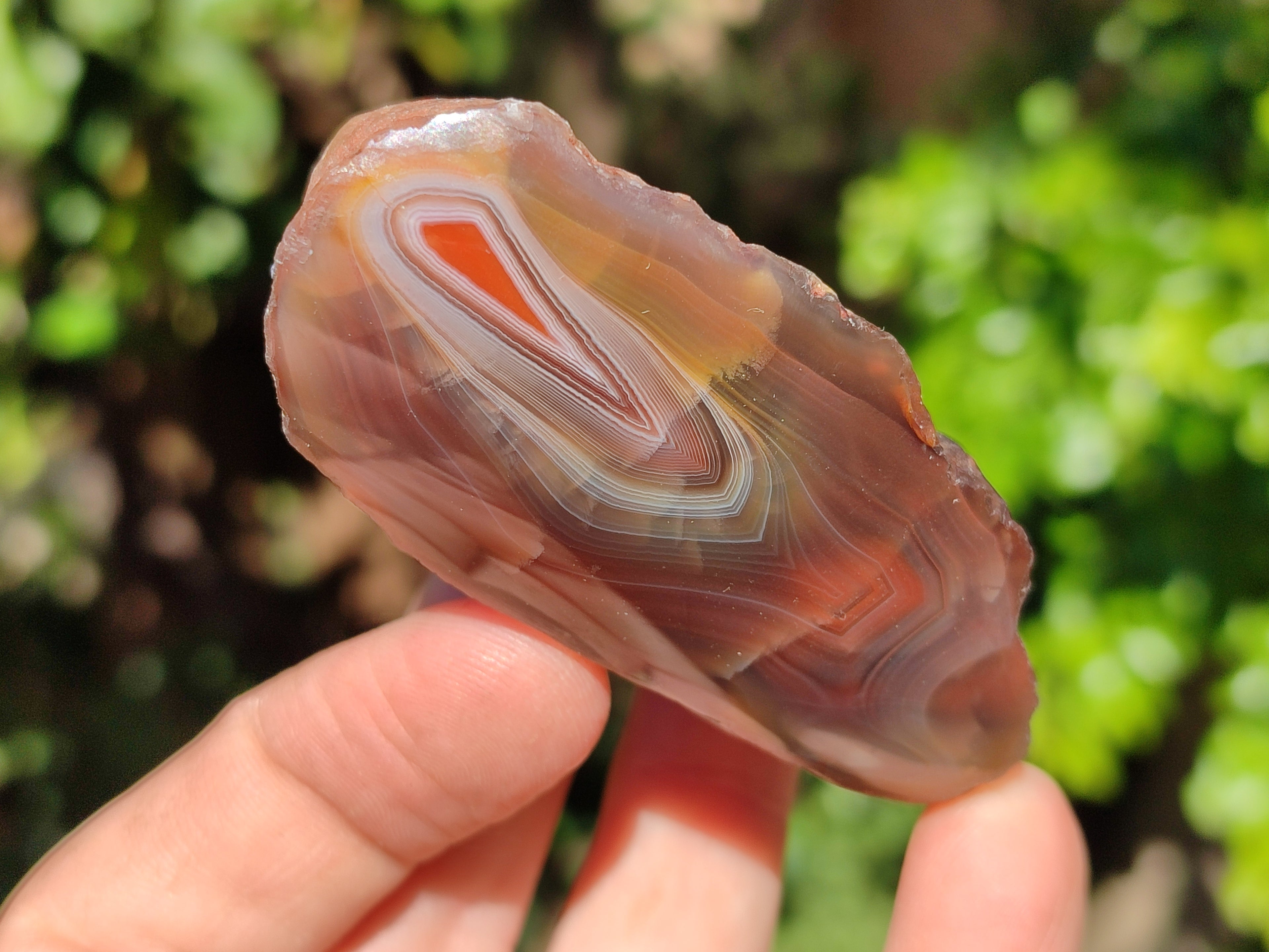 Polished On One Side Red Sashe River Agate Nodules x 20 From Zimbabwe - Toprock Gemstones and Minerals 
