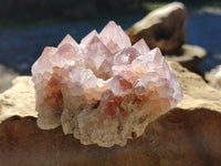 Natural Cactus Flower Sunburst Spirit Amethyst Clusters x 3 From South Africa - Toprock Gemstones and Minerals 