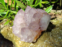 Natural Cactus Flower Sunburst Spirit Amethyst Clusters x 3 From South Africa - Toprock Gemstones and Minerals 