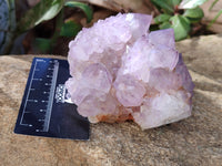 Natural Cactus Flower Sunburst Spirit Amethyst Clusters x 3 From South Africa - Toprock Gemstones and Minerals 