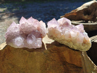 Natural Cactus Flower Sunburst Spirit Amethyst Clusters x 3 From South Africa - Toprock Gemstones and Minerals 