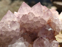 Natural Cactus Flower Sunburst Spirit Amethyst Clusters x 3 From South Africa - Toprock Gemstones and Minerals 