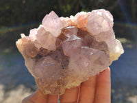Natural Cactus Flower Sunburst Spirit Amethyst Clusters x 3 From South Africa - Toprock Gemstones and Minerals 