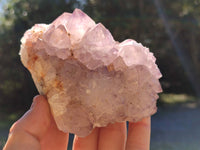 Natural Cactus Flower Sunburst Spirit Amethyst Clusters x 3 From South Africa - Toprock Gemstones and Minerals 