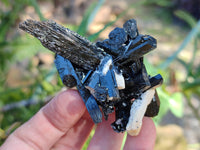 Natural Schorl Black Tourmaline with Smokey Quartz x 12 From Erongo, Namibia - Toprock Gemstones and Minerals 