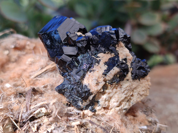 Natural Schorl Black Tourmaline with Smokey Quartz x 12 From Erongo, Namibia - Toprock Gemstones and Minerals 