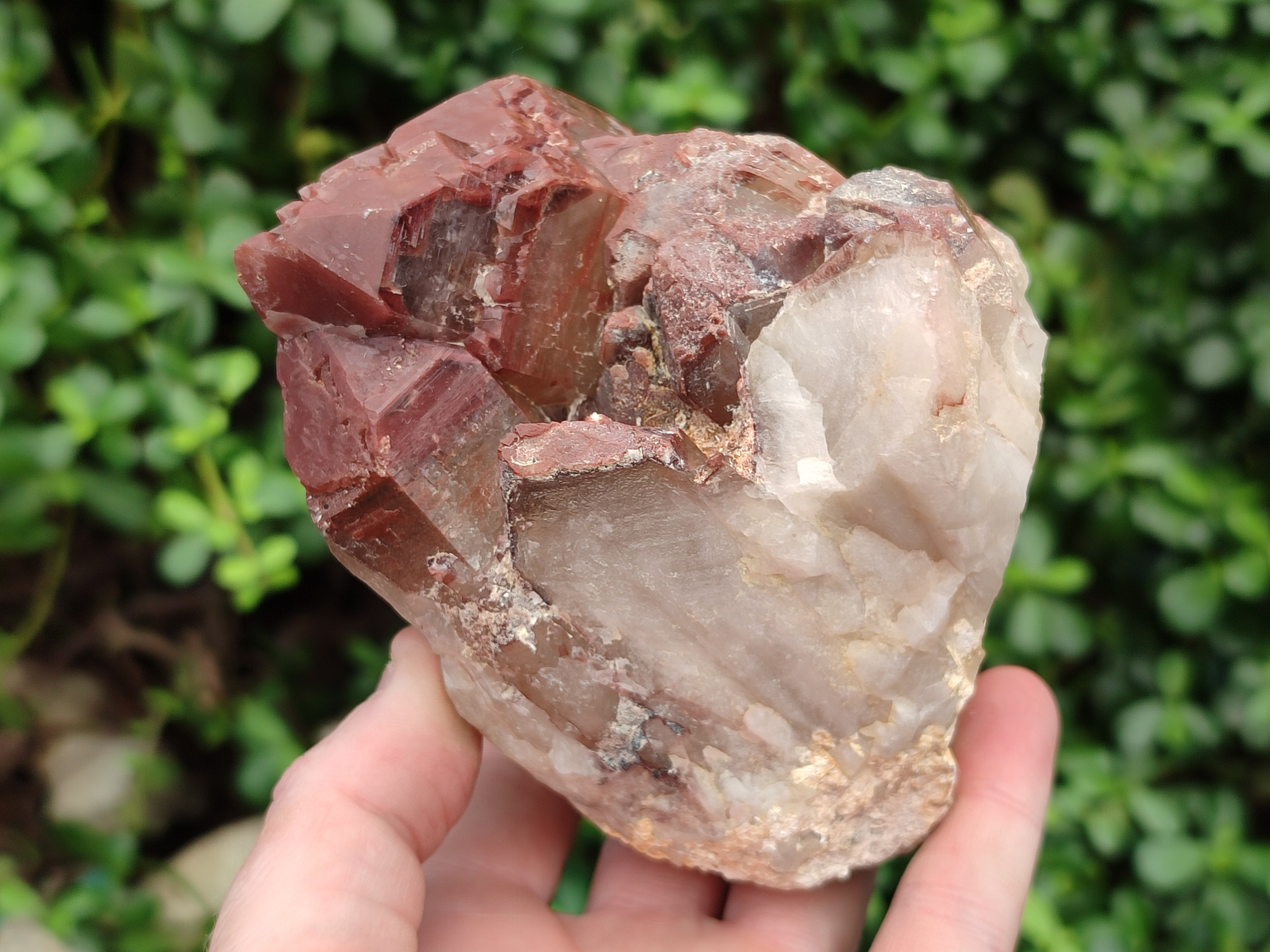 Natural Red Hematoid Quartz Clusters x 2 From Karoi, Zimbabwe - Toprock Gemstones and Minerals 