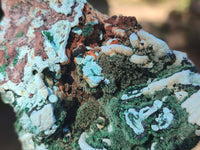 Natural Drusy Coated Chrysocolla with Malachite x 2 From Lupoto Mine, Congo