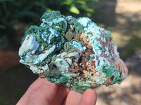 Natural Drusy Coated Chrysocolla with Malachite x 2 From Lupoto Mine, Congo