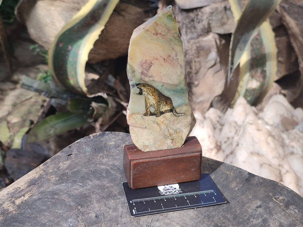 Hand Made Animal Decoupage Stone Slabs x 4 From Southern Africa - Toprock Gemstones and Minerals 
