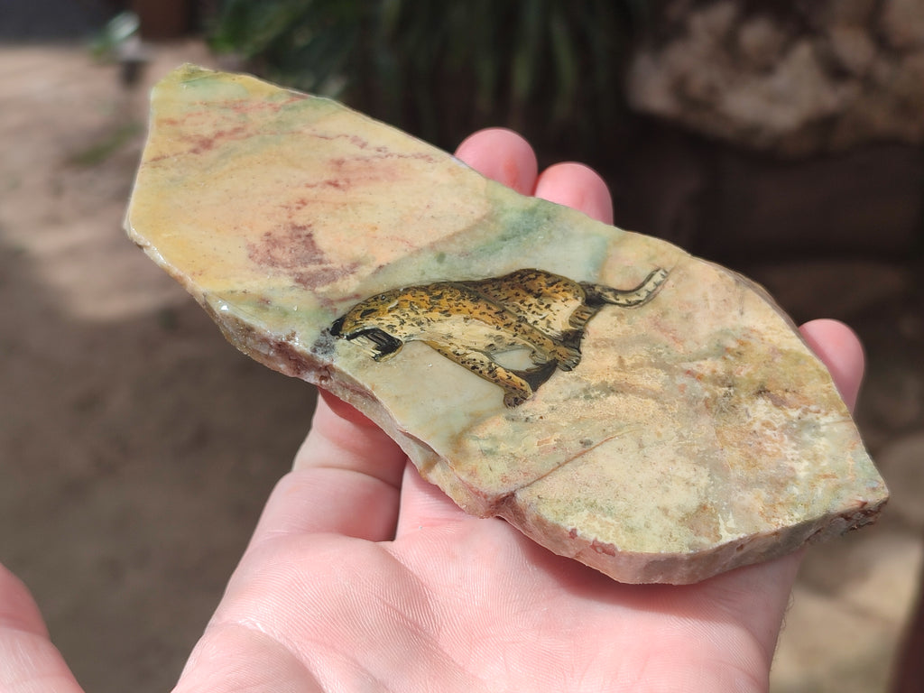 Hand Made Animal Decoupage Stone Slabs x 4 From Southern Africa - Toprock Gemstones and Minerals 