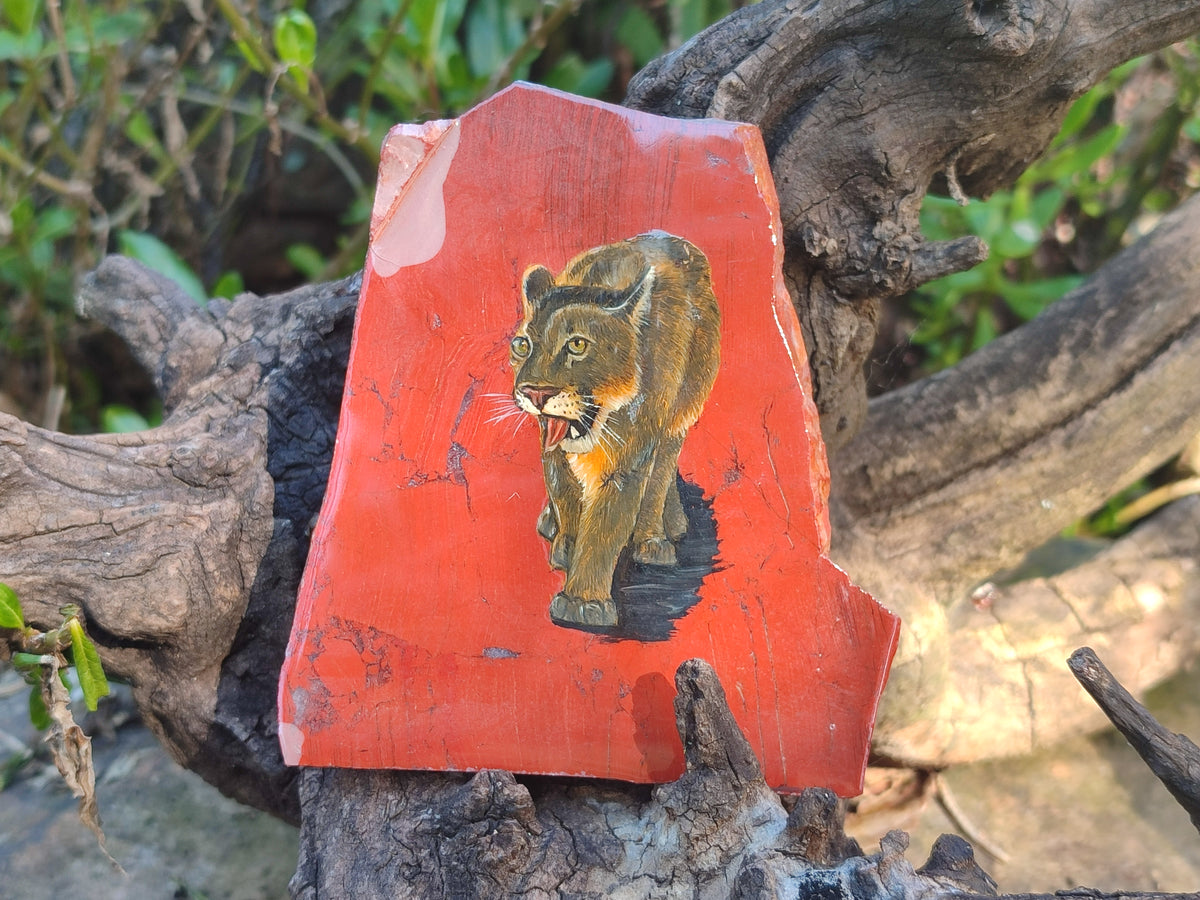 Hand Made Animal Decoupage Stone Slabs x 4 From Southern Africa - Toprock Gemstones and Minerals 