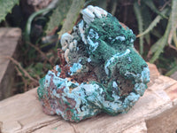 Natural Drusy Coated Chrysocolla with Malachite x 2 From Lupoto Mine, Congo