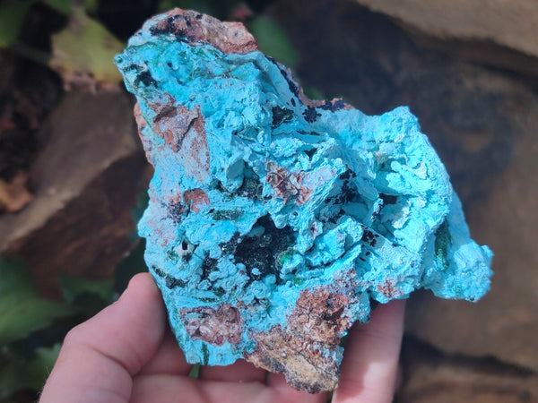 Natural Drusy Coated Chrysocolla with Malachite x 2 From Lupoto Mine, Congo
