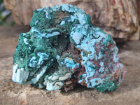 Natural Drusy Coated Chrysocolla with Malachite x 2 From Lupoto Mine, Congo