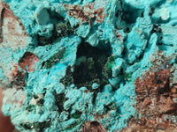 Natural Drusy Coated Chrysocolla with Malachite x 2 From Lupoto Mine, Congo