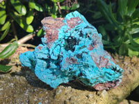 Natural Drusy Coated Chrysocolla with Malachite x 2 From Lupoto Mine, Congo