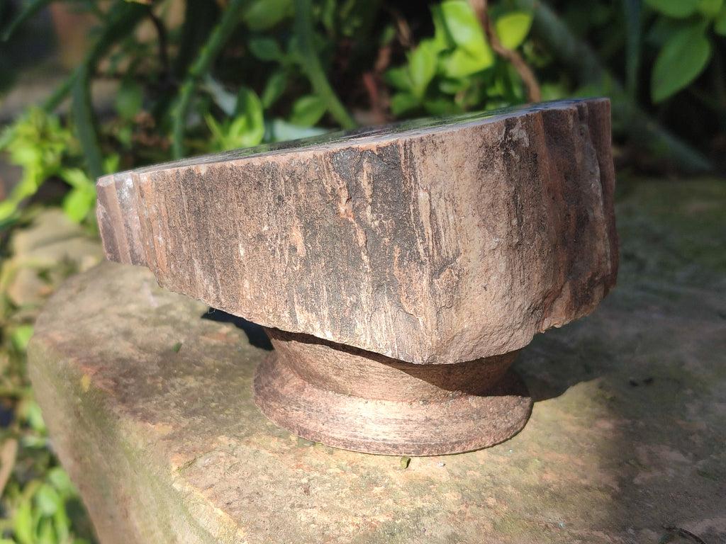 Polished Petrified Wood Slices x 6 From Gokwe, Zimbabwe - Toprock Gemstones and Minerals 