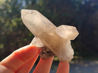 Natural Smokey Quartz Crystals with Black Tourmaline & Hyalite Opal x 35 From Erongo, Namibia