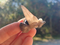 Natural Smokey Quartz Crystals with Black Tourmaline & Hyalite Opal x 35 From Erongo, Namibia