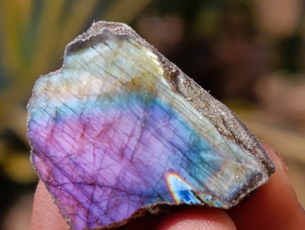 Polished On One Side Labradorite Plates x 70 From Tulear, Madagascar