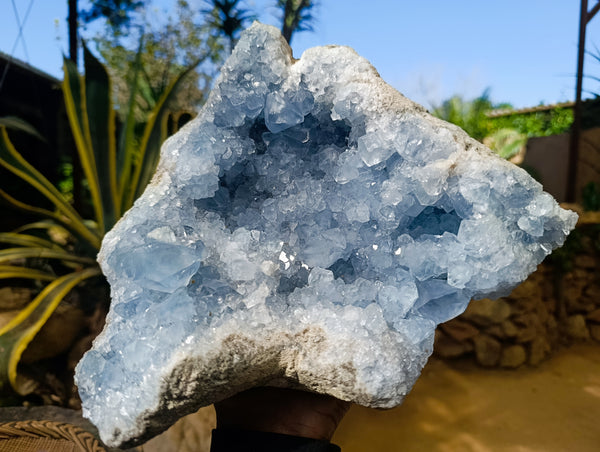Natural Large Celestite Geode Specimen x 1 From Sakoany, Madagascar