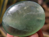Polished Green Fluorite Palm Stones x 20 From Madagascar - Toprock Gemstones and Minerals 