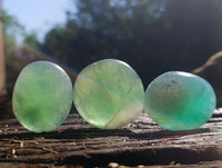 Polished Green Fluorite Palm Stones x 20 From Madagascar - Toprock Gemstones and Minerals 