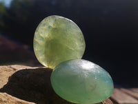Polished Green Fluorite Palm Stones x 20 From Madagascar - Toprock Gemstones and Minerals 