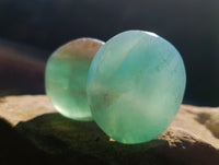 Polished Green Fluorite Palm Stones x 20 From Madagascar - Toprock Gemstones and Minerals 