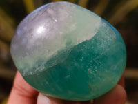 Polished Green Fluorite Palm Stones x 20 From Madagascar - Toprock Gemstones and Minerals 