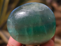Polished Green Fluorite Palm Stones x 20 From Madagascar - Toprock Gemstones and Minerals 