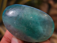Polished Green Fluorite Palm Stones x 20 From Madagascar - Toprock Gemstones and Minerals 