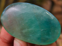 Polished Green Fluorite Palm Stones x 20 From Madagascar - Toprock Gemstones and Minerals 