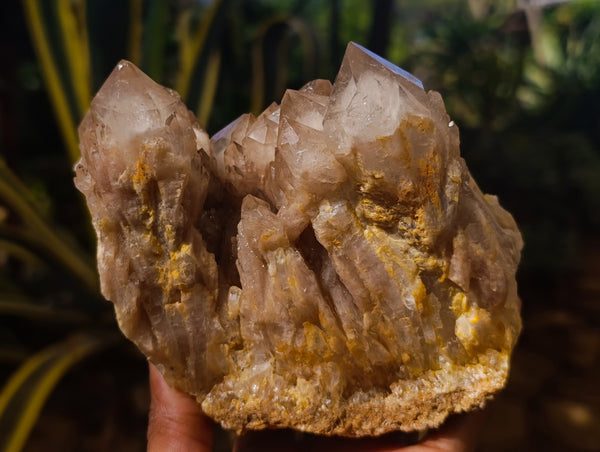 Natural Smokey Phantom Quartz Clusters x 2 From Luena, Congo