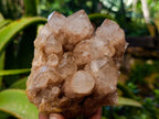 Natural Smokey Phantom Quartz Clusters x 2 From Luena, Congo - Toprock Gemstones and Minerals 