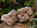 Natural Smokey Phantom Quartz Clusters x 2 From Luena, Congo - Toprock Gemstones and Minerals 