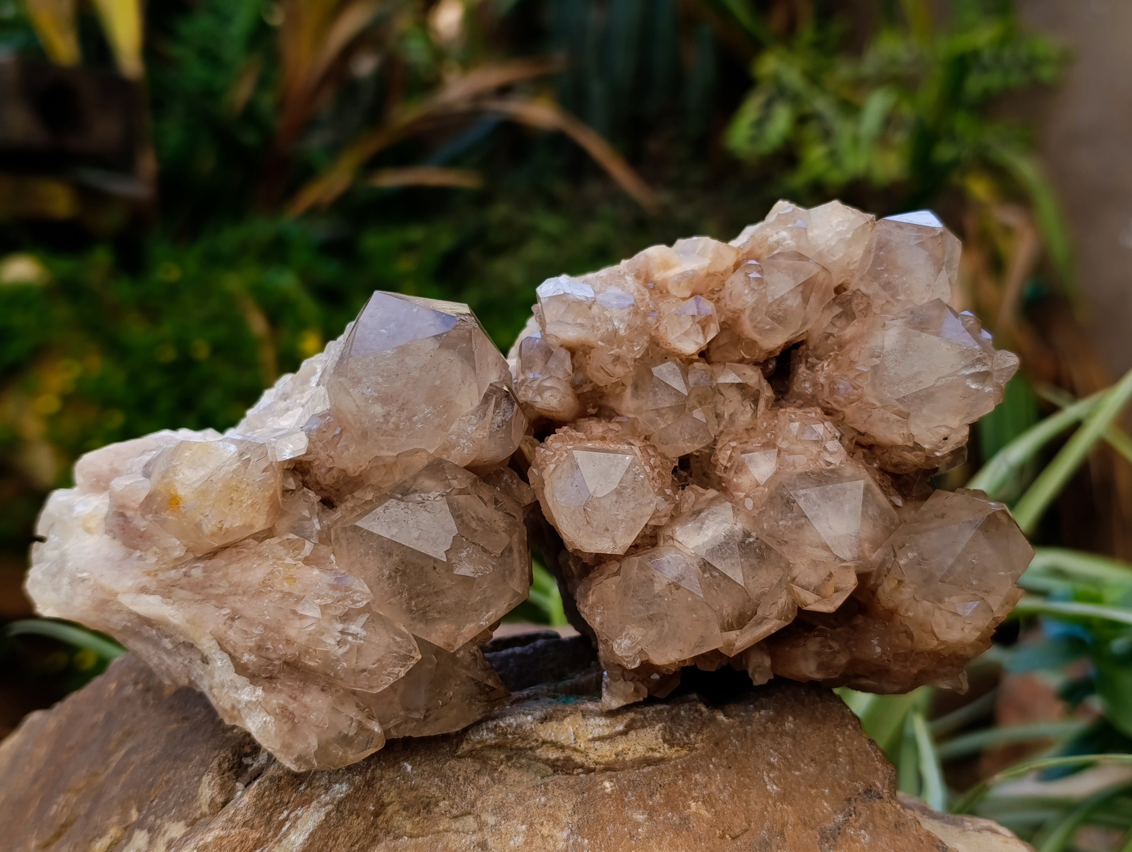 Natural Smokey Phantom Quartz Clusters x 2 From Luena, Congo - Toprock Gemstones and Minerals 