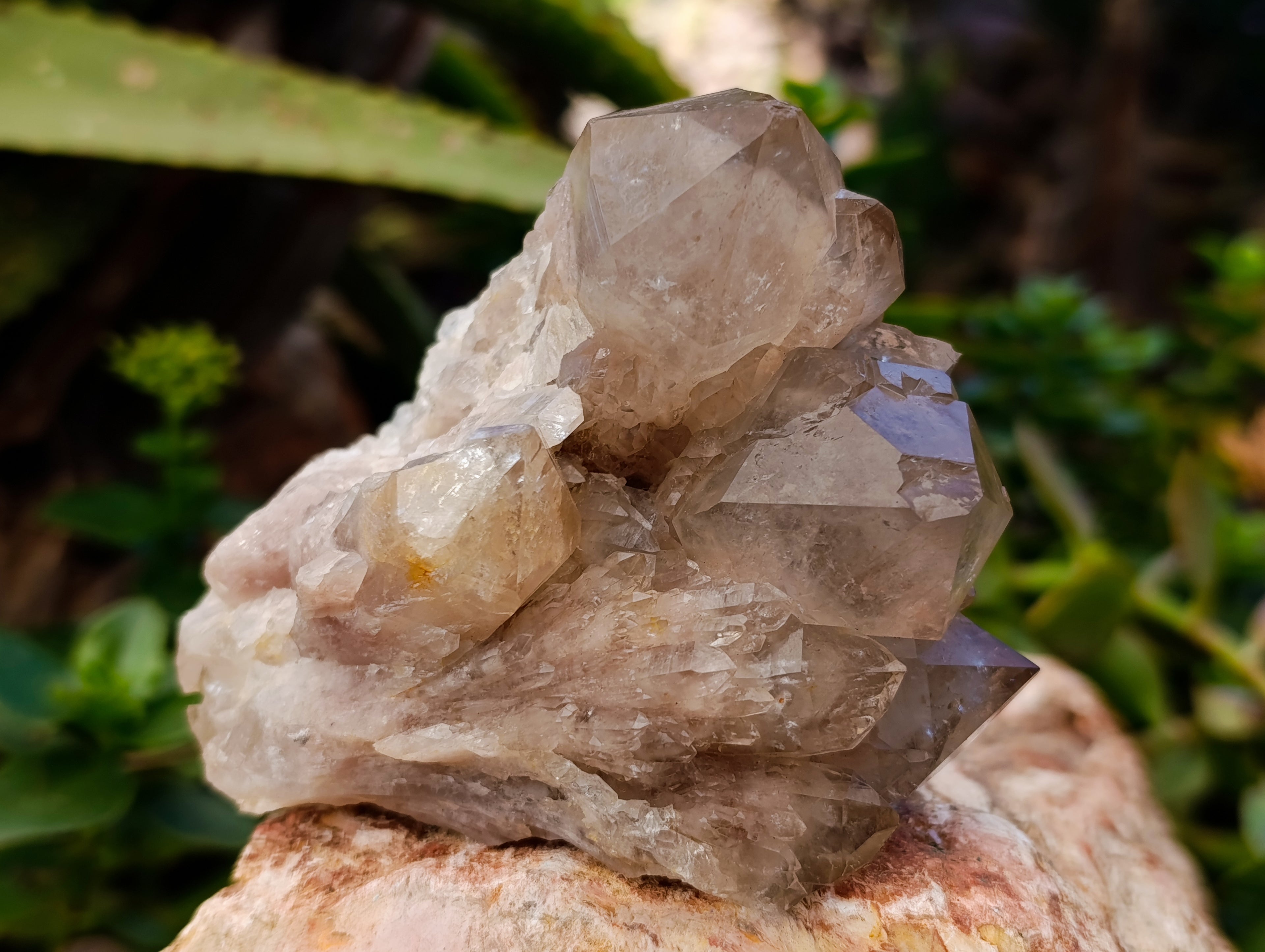 Natural Smokey Phantom Quartz Clusters x 2 From Luena, Congo - Toprock Gemstones and Minerals 