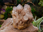 Natural Smokey Phantom Quartz Clusters x 2 From Luena, Congo - Toprock Gemstones and Minerals 