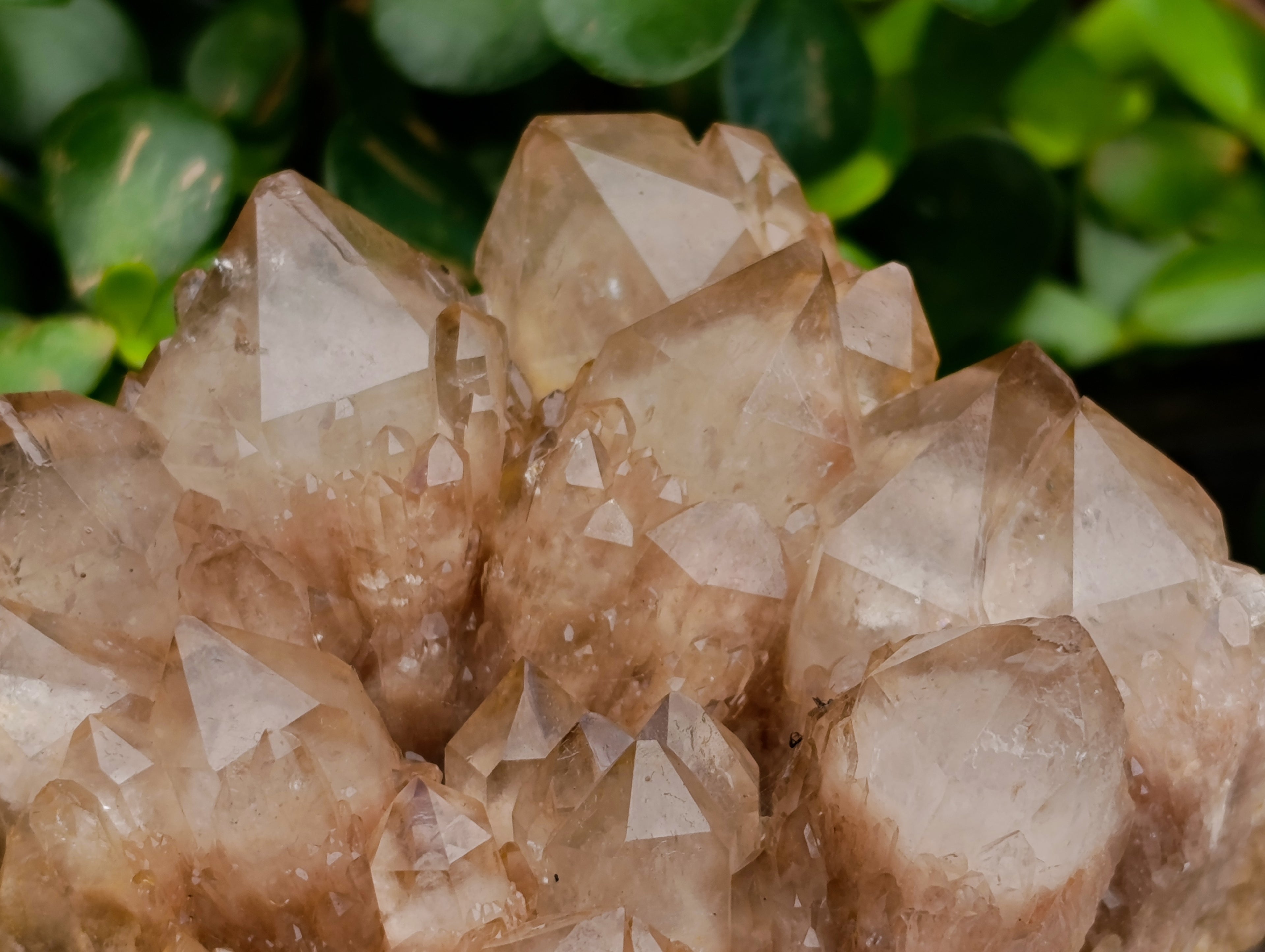 Natural Smokey Phantom Quartz Clusters x 2 From Luena, Congo - Toprock Gemstones and Minerals 