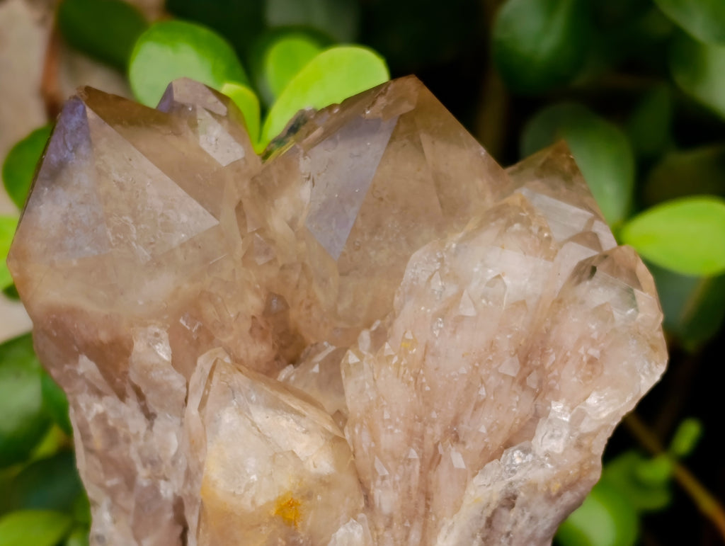 Natural Smokey Phantom Quartz Clusters x 2 From Luena, Congo - Toprock Gemstones and Minerals 