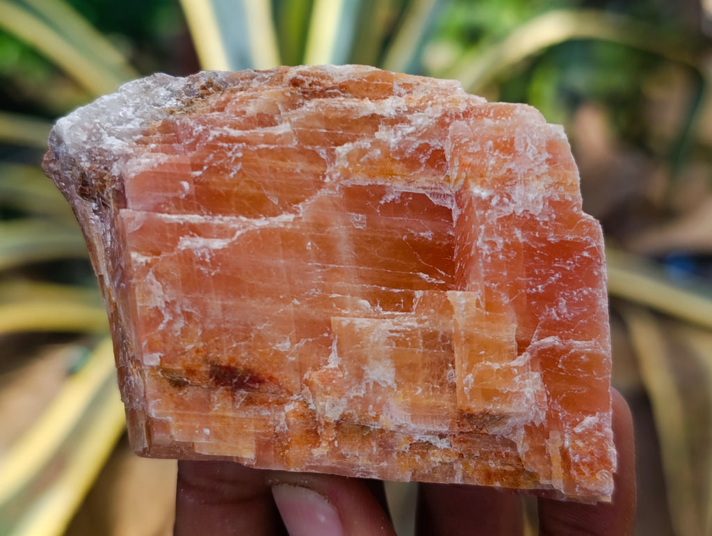 Natural Sunset Orange Calcite Specimens x 12 From Spitzkop, Namibia - Toprock Gemstones and Minerals 