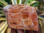 Natural Sunset Orange Calcite Specimens x 12 From Spitzkop, Namibia - Toprock Gemstones and Minerals 